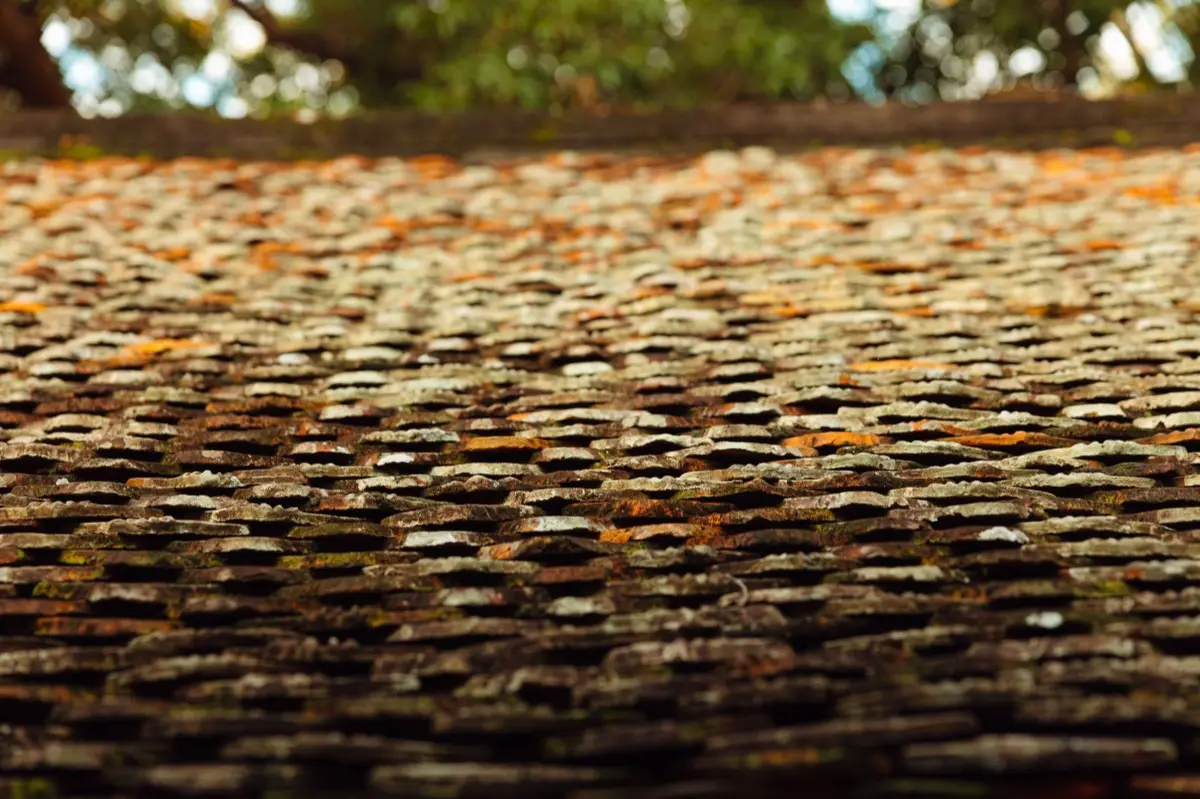 Roof Coatings & Sealing in Warren, MI